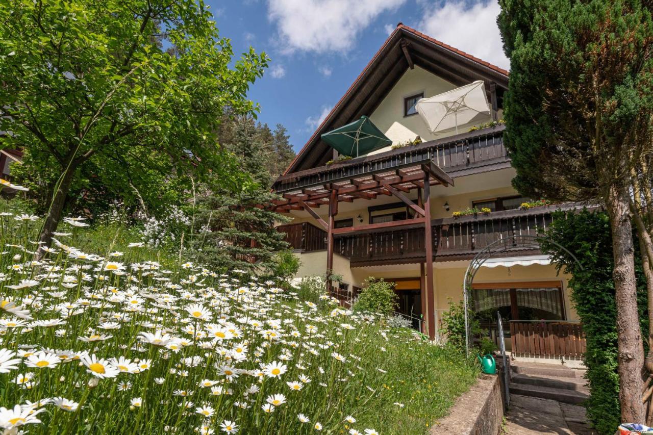 Haus Wiesenttal Вайшенфельд Экстерьер фото